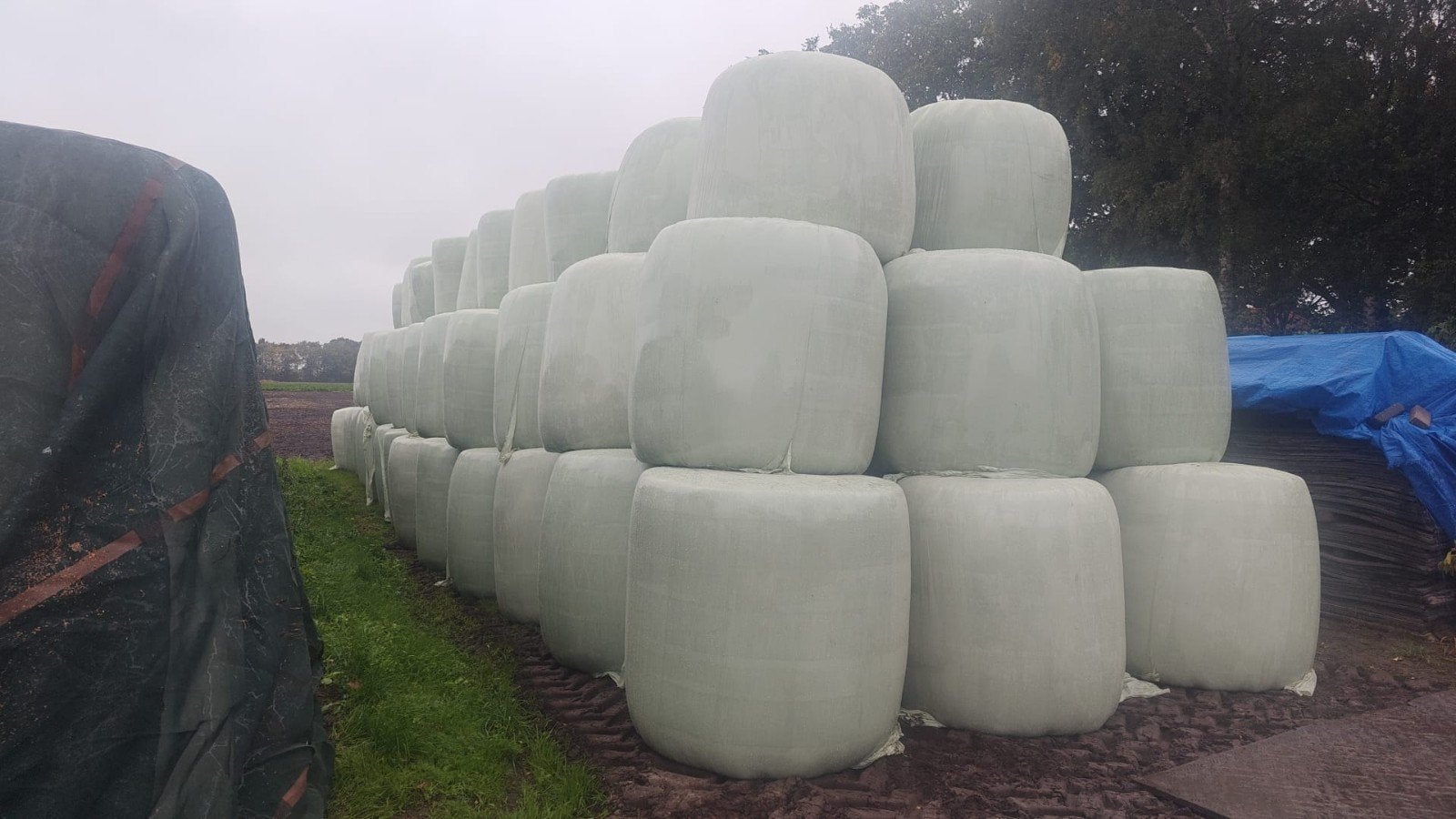 Kuilbalen / Hooibalen - Ronde balen in plastic, Ophalen, Vee