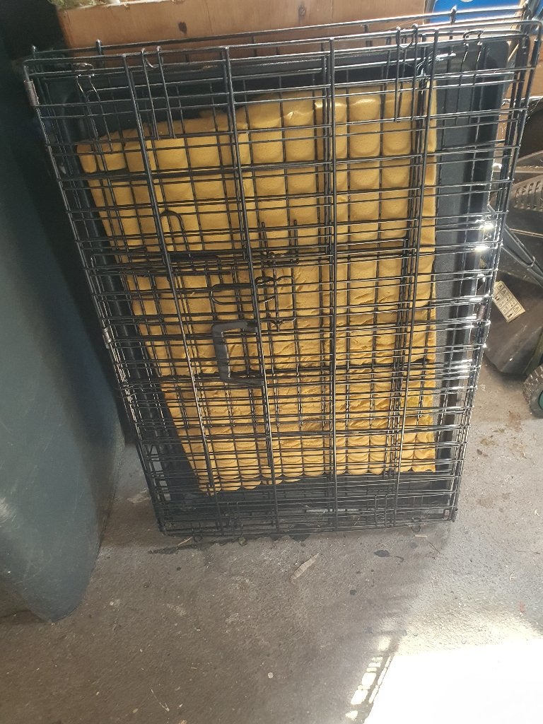 Bench, Dieren en Toebehoren, Ophalen, Zo goed als nieuw