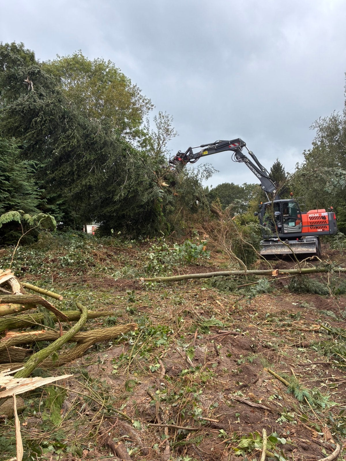 bomen zagen, opruimen & hout kloven, 6 m³ of meer, Ophalen