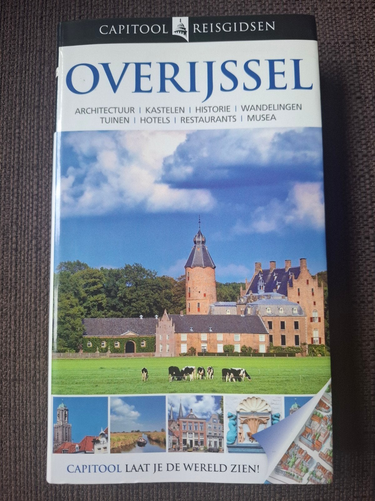 Capitool Reisgids Overijssel - Architectuur, Kastelen, Hist, Boeken, Gelezen, Capitool, Ophalen of Verzenden, Reisgids of -boek