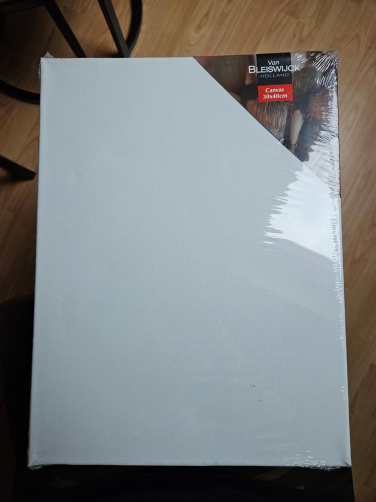 Nieuw Canvas Schilderdoek 30x40cm - Van Bleiswijck, Hobby en Vrije tijd, Schilderen, Ophalen, Nieuw, Doek