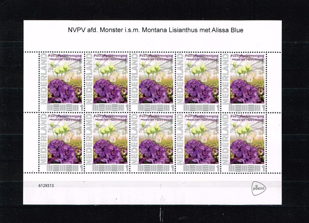 Montana Lisanthius bloem vel 10 persoonlijke zegels 1.np33v, Postzegels en Munten, Ophalen of Verzenden, Na 1940, Postfris