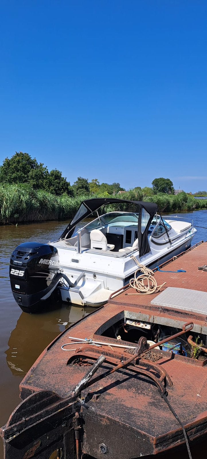 Nette Boston Whaler Temptation 2000 te koop aangeboden., Ophalen, Gebruikt, Benzine, 120 tot 200 pk
