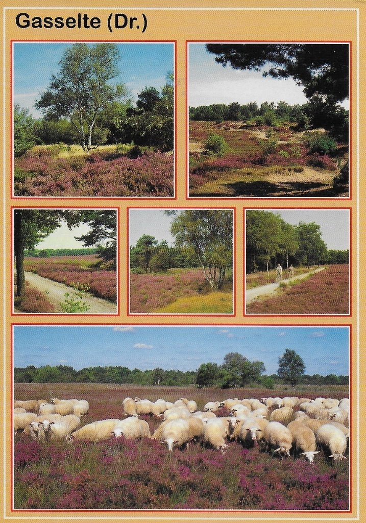 Ch299 ongelopen ansichtkaart gasselte, Ophalen of Verzenden, 1940 tot 1960, Ongelopen