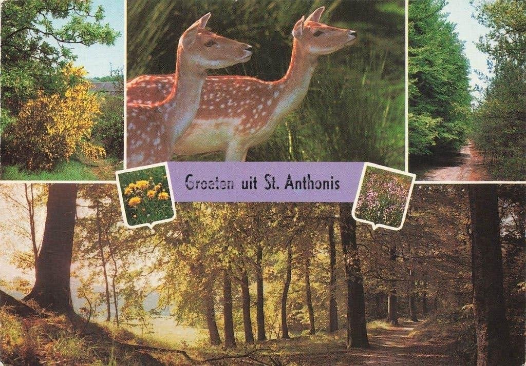 Groeten uit St. Anthonis, Ophalen of Verzenden, 1980 tot heden, Gelopen, Noord-Brabant