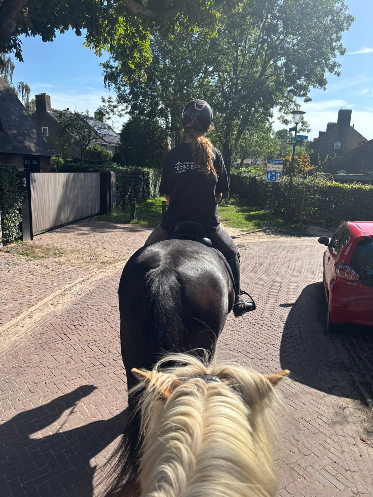 2 bijrijdsters gezocht voor onze Haflinger & KWPN’er, Dieren en Toebehoren, Ophalen of Verzenden