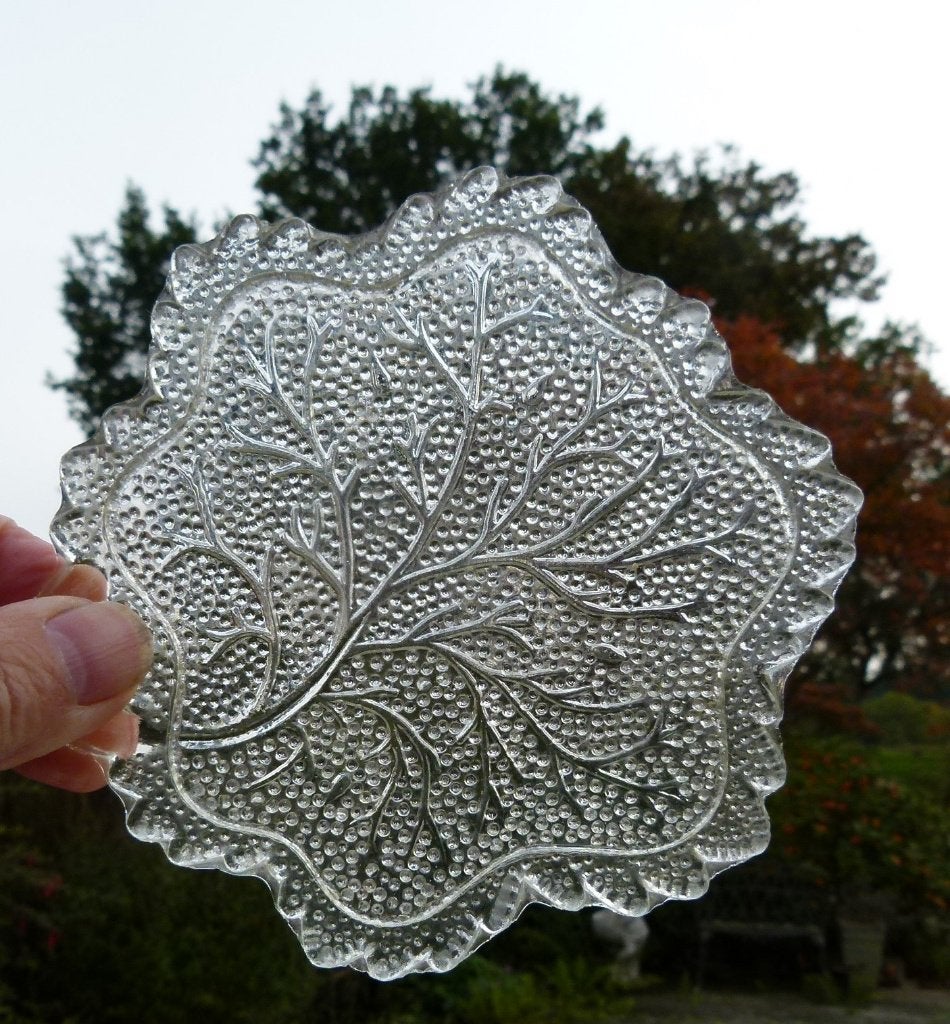 11 Super Glazen Blad Gebak / Fruit / Tapas Bordjes Kado Tip, Huis en Inrichting, Keuken | Servies, Overige merken, Nieuw, Ophalen of Verzenden