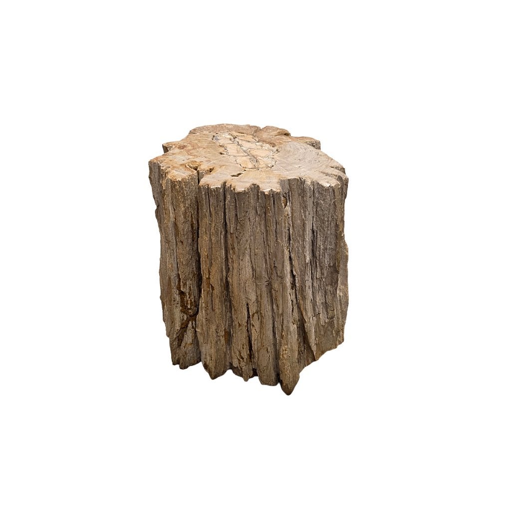 Versteend hout als bijzettafel, Ophalen