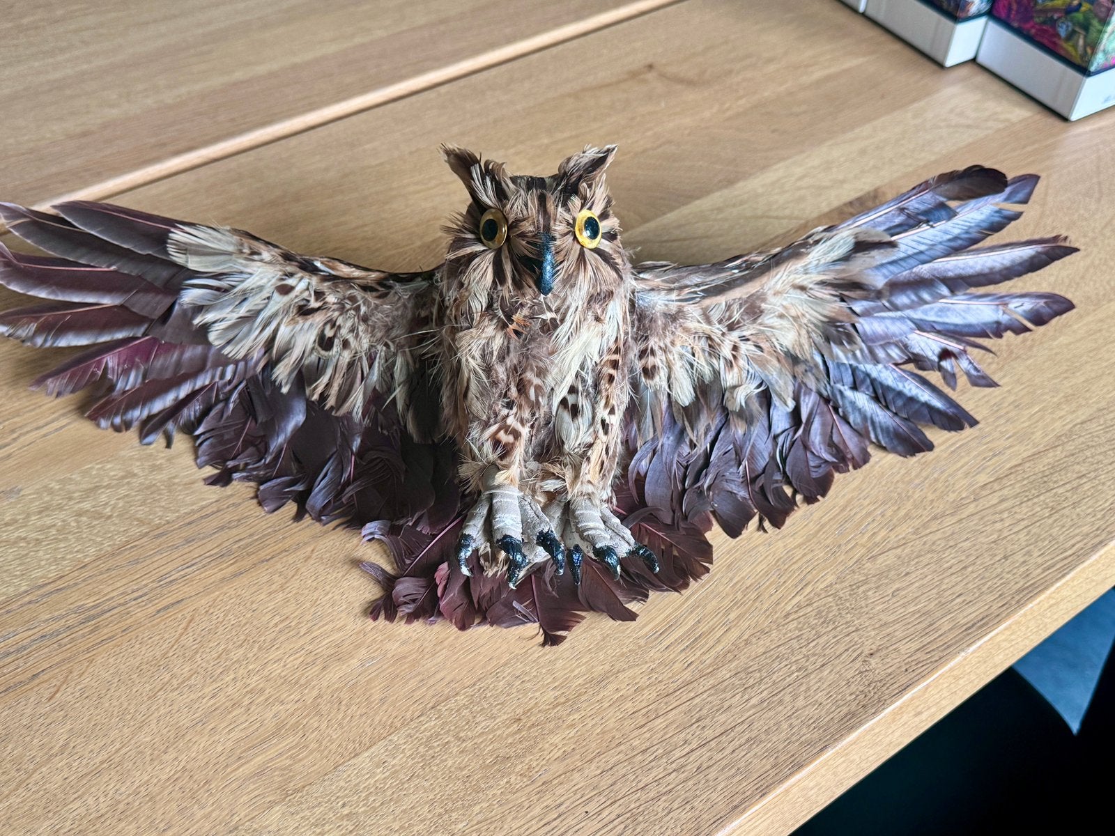 Grote decoratieve uil met echte veren - breedte 55cm, Ophalen of Verzenden