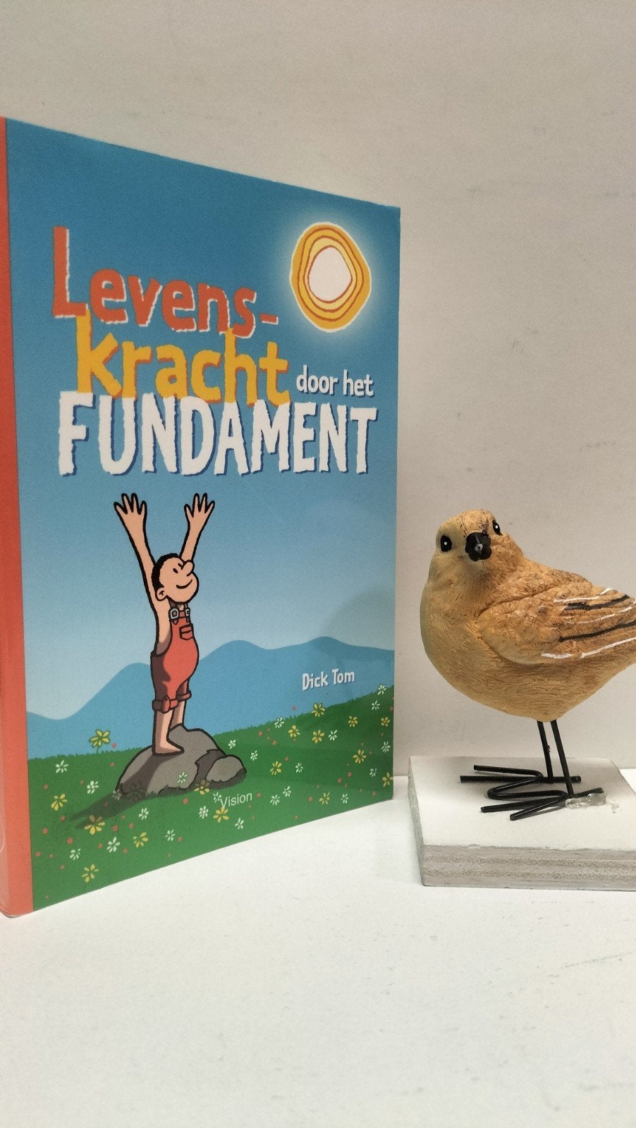 Tom, Dick; Levenskracht door het Fundament, Ophalen of Verzenden, Gelezen, Christendom | Protestants