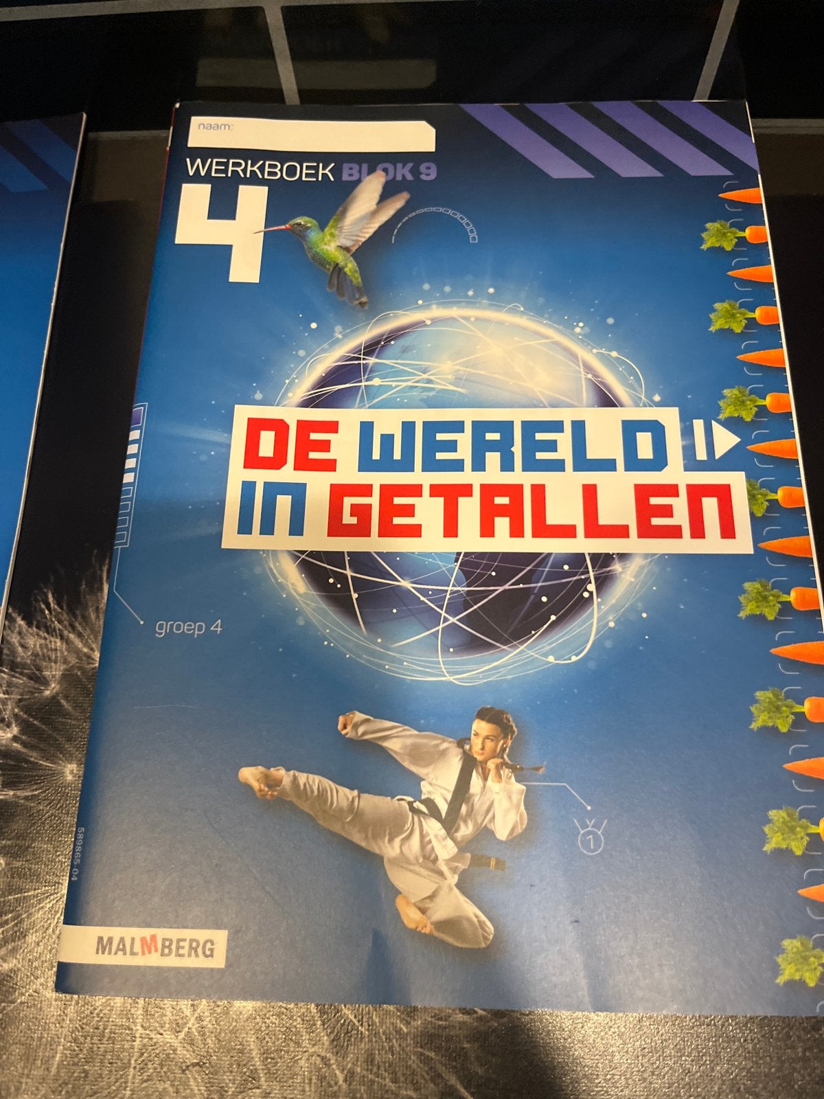 De Wereld in Getallen - Werkboek Blok 9 Groep 4, Boeken, Ophalen of Verzenden, Gelezen, Overige niveaus, Wiskunde A
