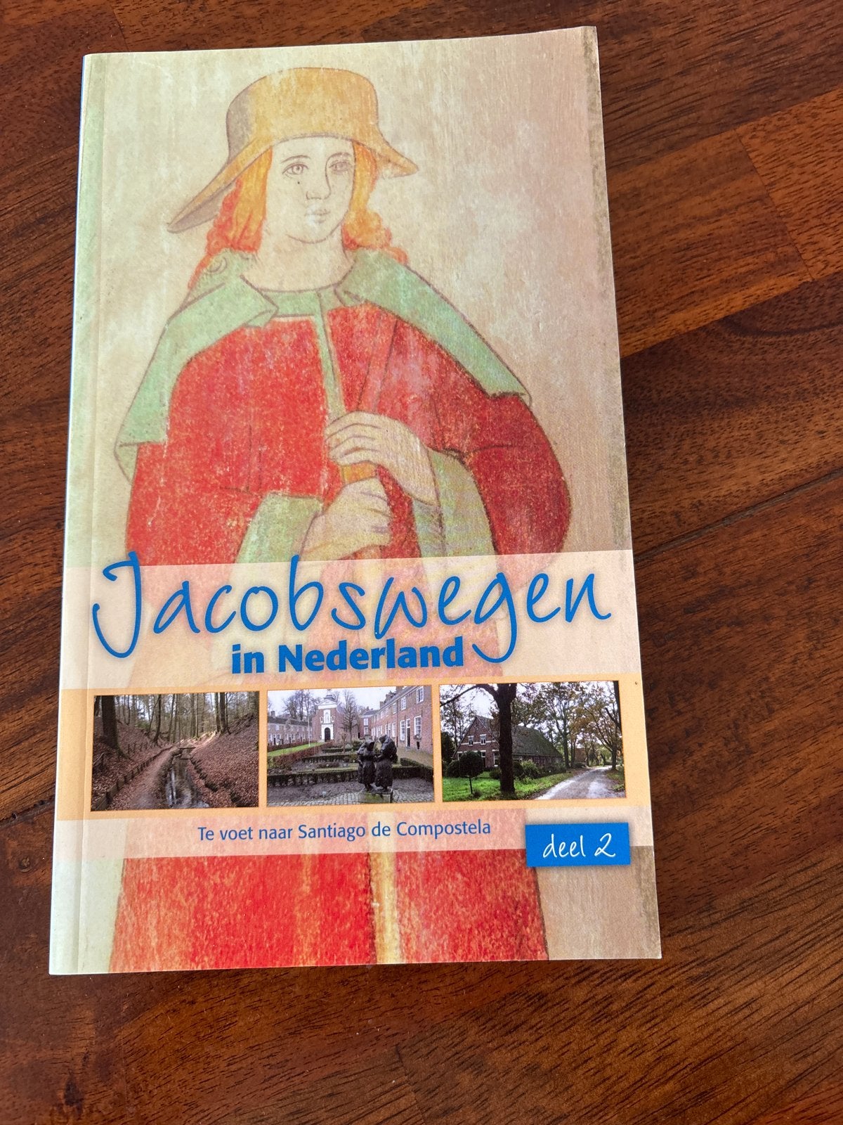 Jacobsweegen in Nederland deel 2 - Te voet naar Santiago, Overige merken, Fiets- of Wandelgids, Europa, Nieuw