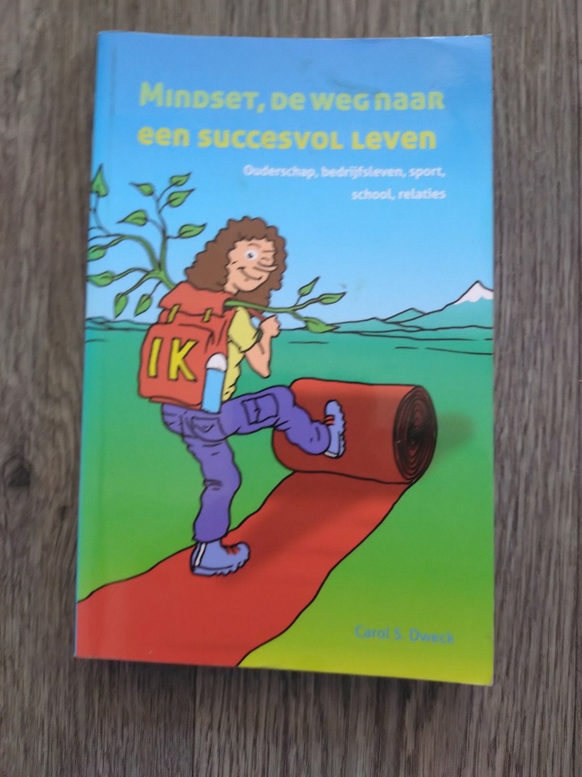 Mindset: De weg naar een succesvol leven - Carol S. Dweck, Boeken, Ophalen of Verzenden, Gelezen, Overige onderwerpen, Carol S. Dweck