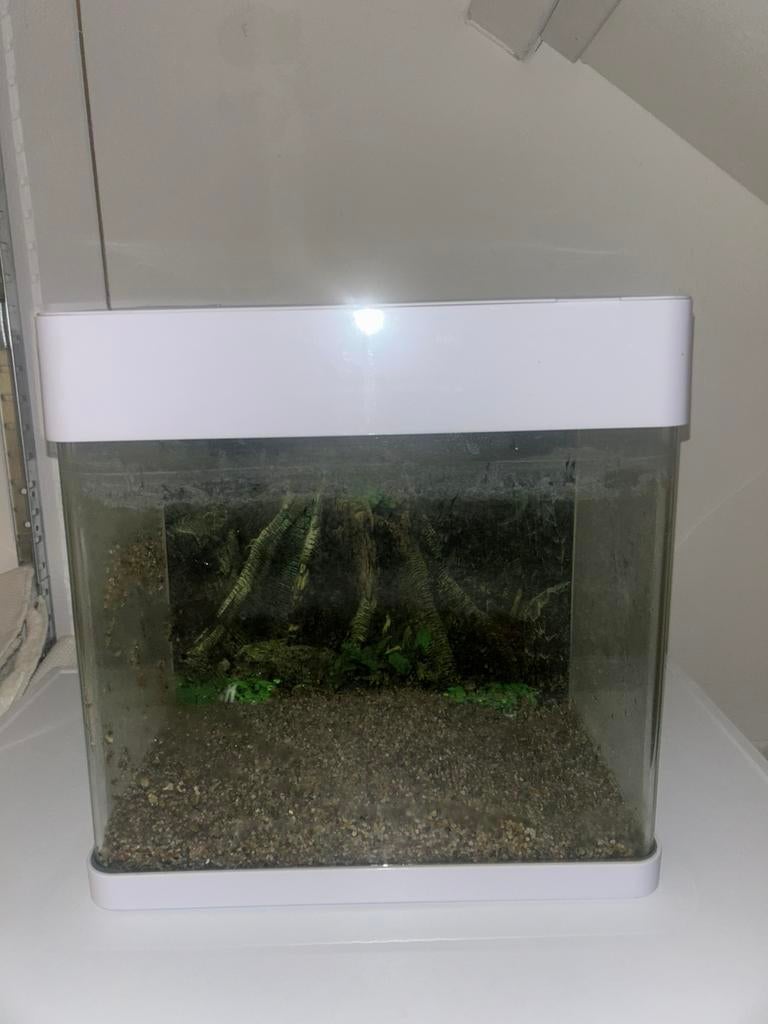 Aquarium, Ophalen, Zo goed als nieuw, Leeg aquarium, Superfish