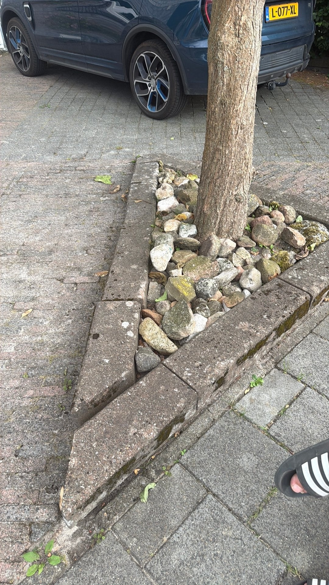 Gratis Bielzen en Grind, Ophalen, Overige materialen, Gebruikt, Grind