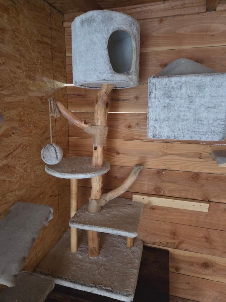 Krabpaal, Dieren en Toebehoren, Ophalen, Krabpaal