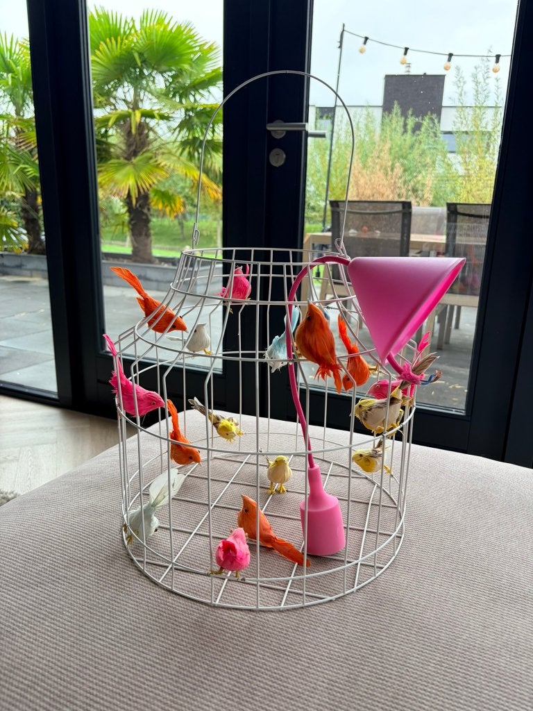 Dutch Dilight hanglamp met kleurrijke vogeltjes – eyecatcher, Ophalen, Modern design / kleurrijk, E27 (groot), Zo goed als nieuw