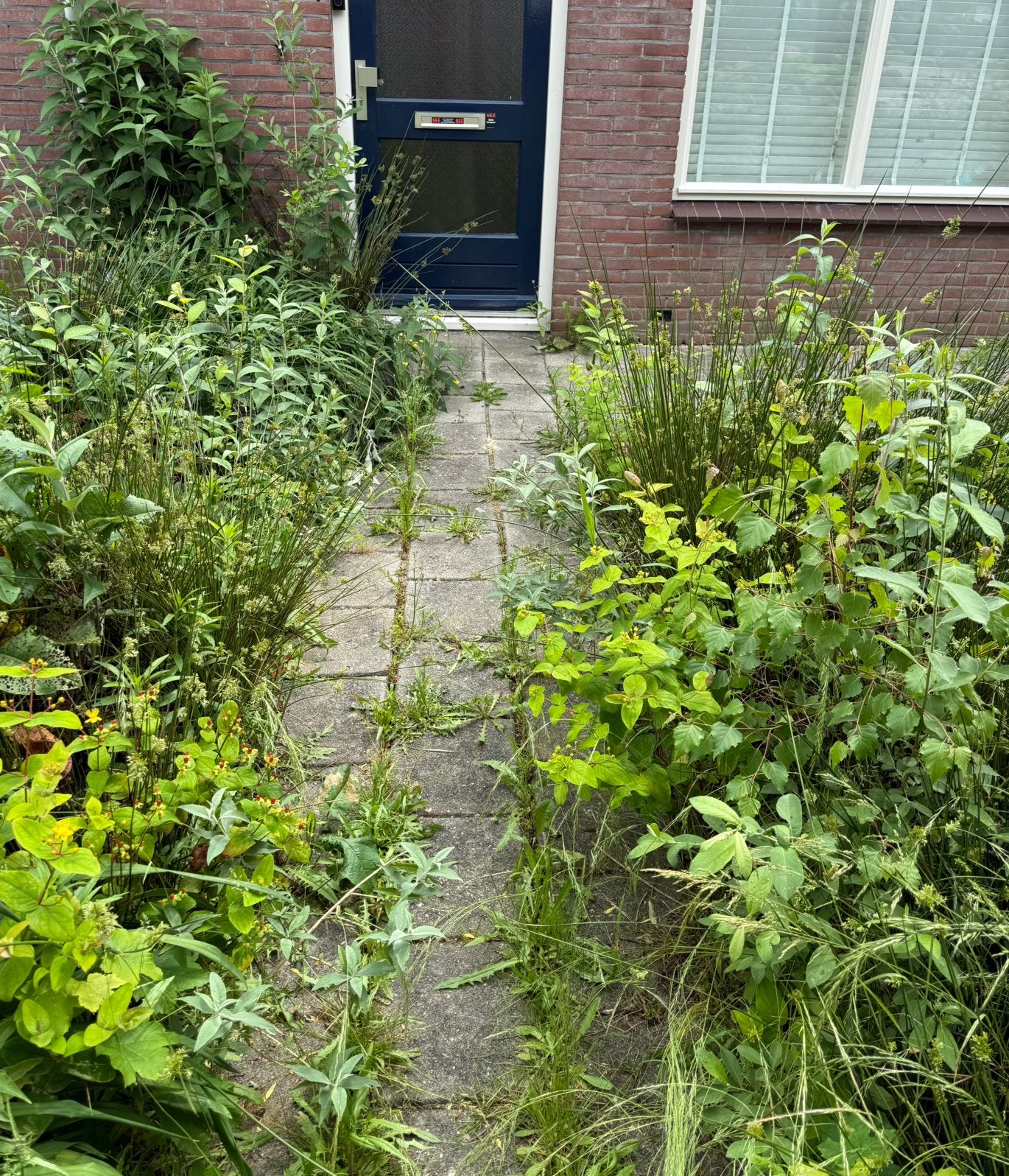 Tegels gratis af te halen, Tuin en Terras, Tegels en Klinkers, Ophalen, Gebruikt, 10 m² of meer, Beton