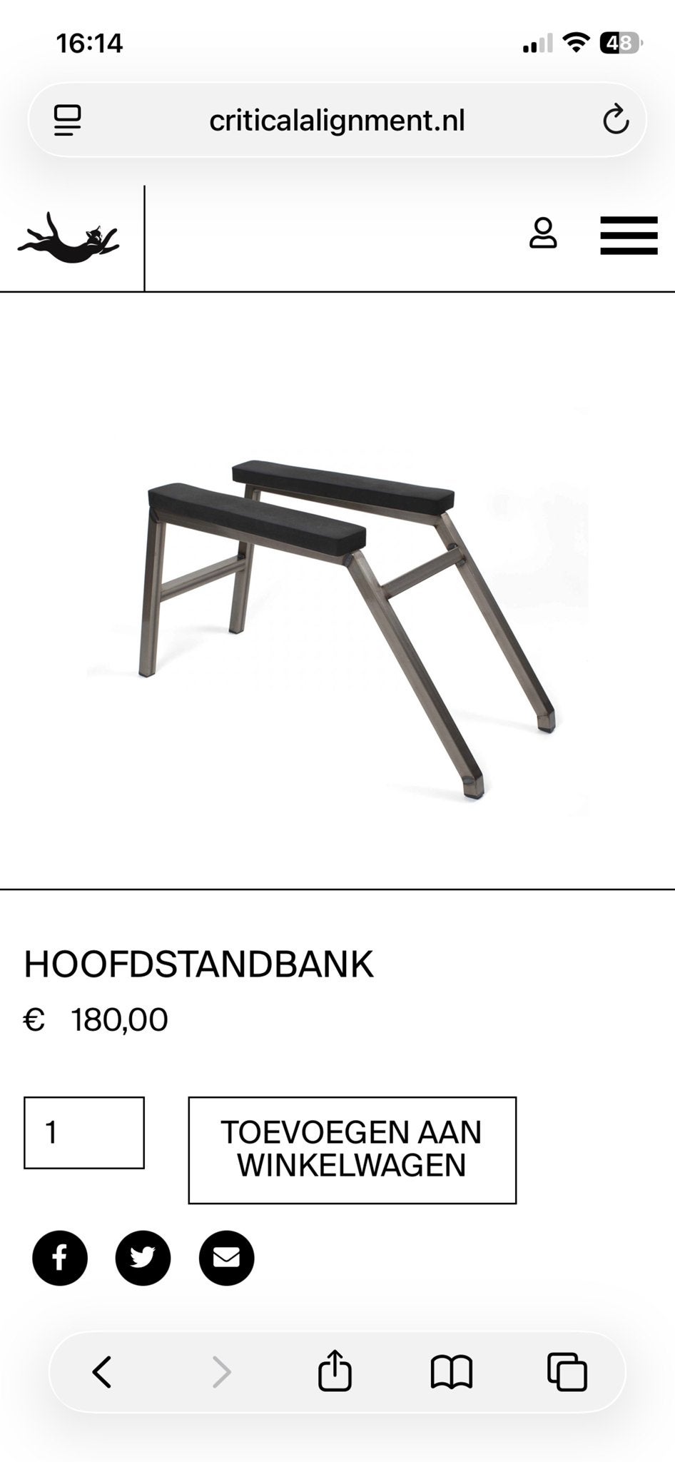 Critical Alignment Hoofdstandbank - Gert van Leeuwen, Ophalen, Zo goed als nieuw, Yoga-accessoire