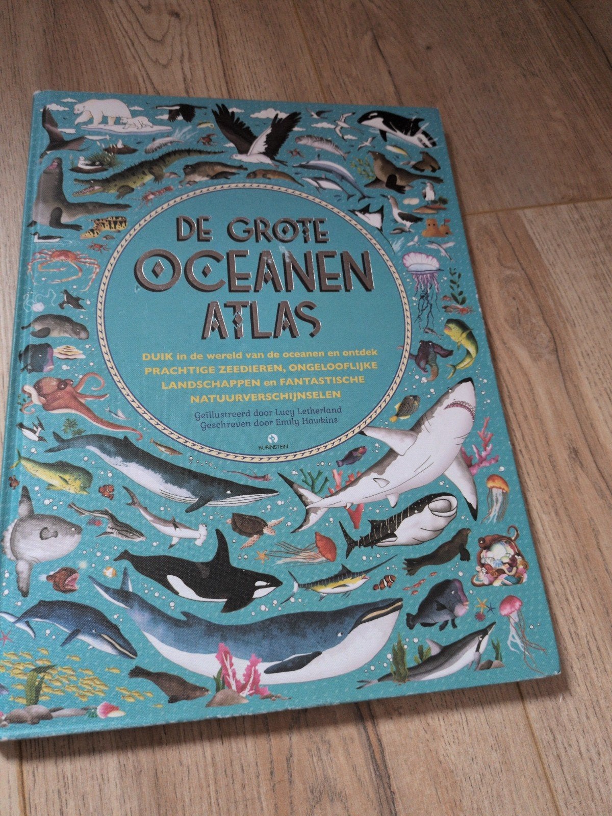 De Grote Oceanen Atlas - Prachtig Geïllustreerd Boek, Boeken, Ophalen, Gelezen, Natuur algemeen, Lucy Letherland
