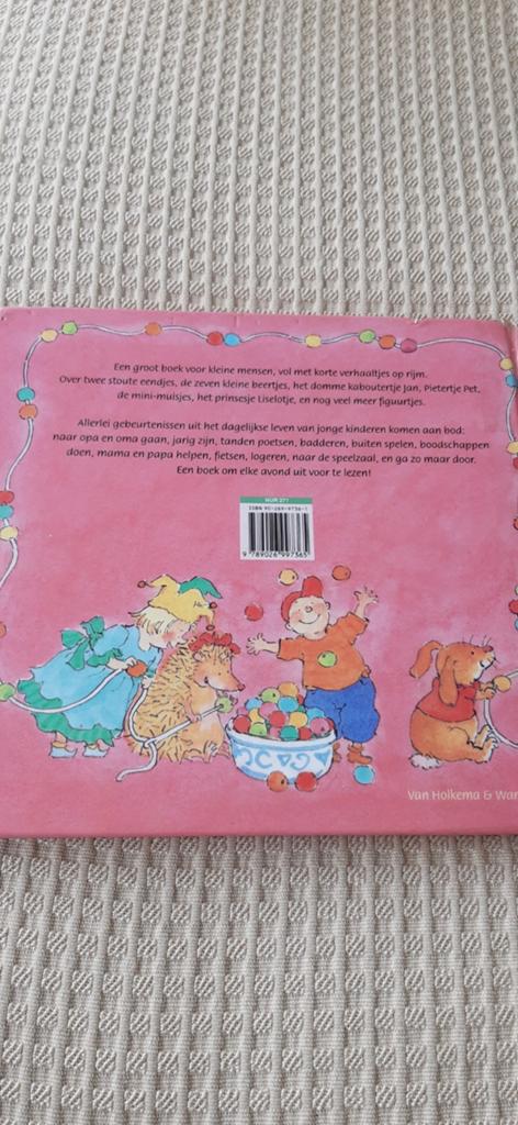 Marianne Busser - Het grote boek voor de kleintjes, Boeken, 3 tot 4 jaar, Ophalen of Verzenden, Zo goed als nieuw, Marianne Busser; Ron Schröder
