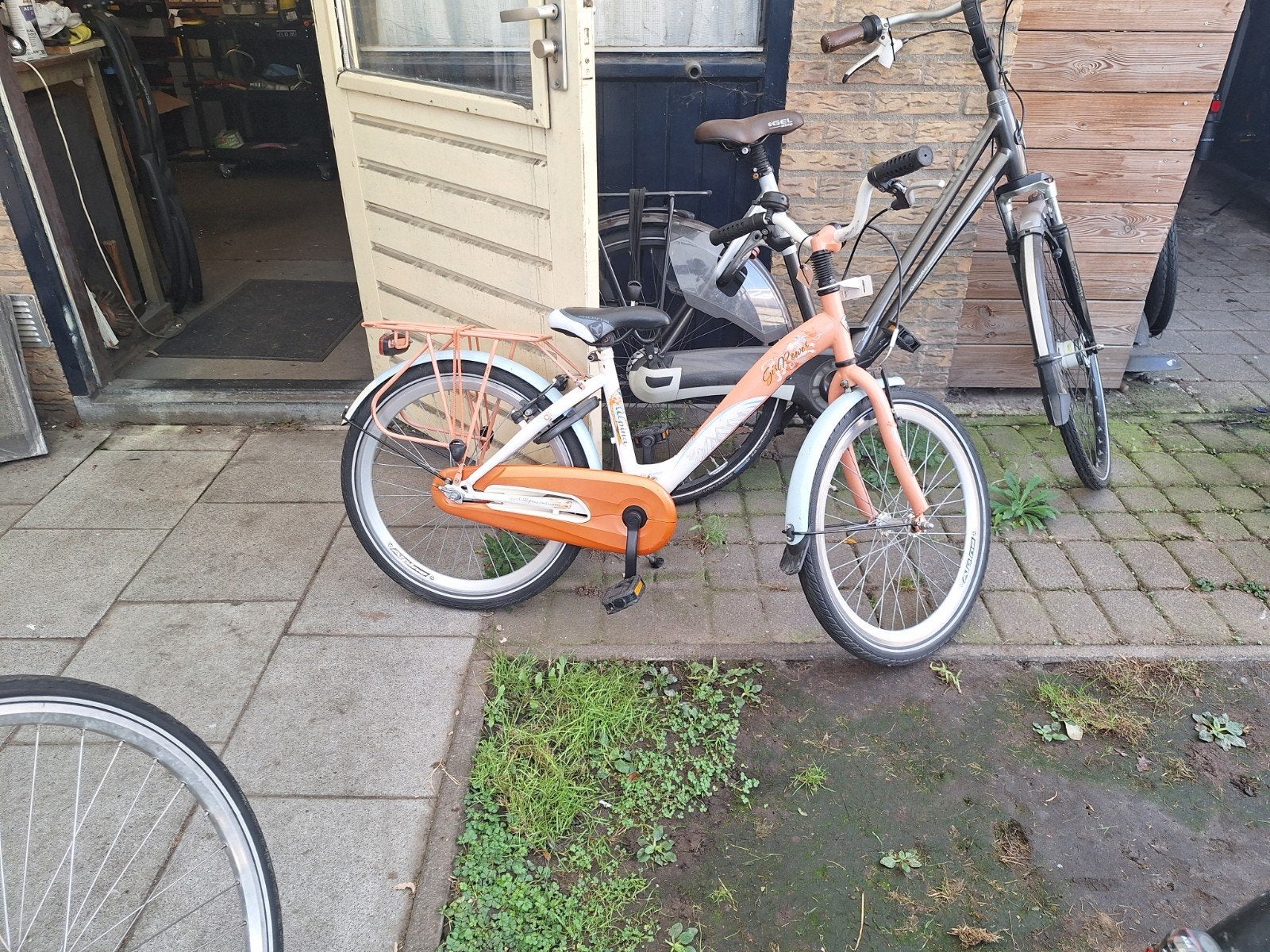 alpina  girlpower, Fietsen en Brommers, 20 inch of meer, Gebruikt, Velgrem, Dames
