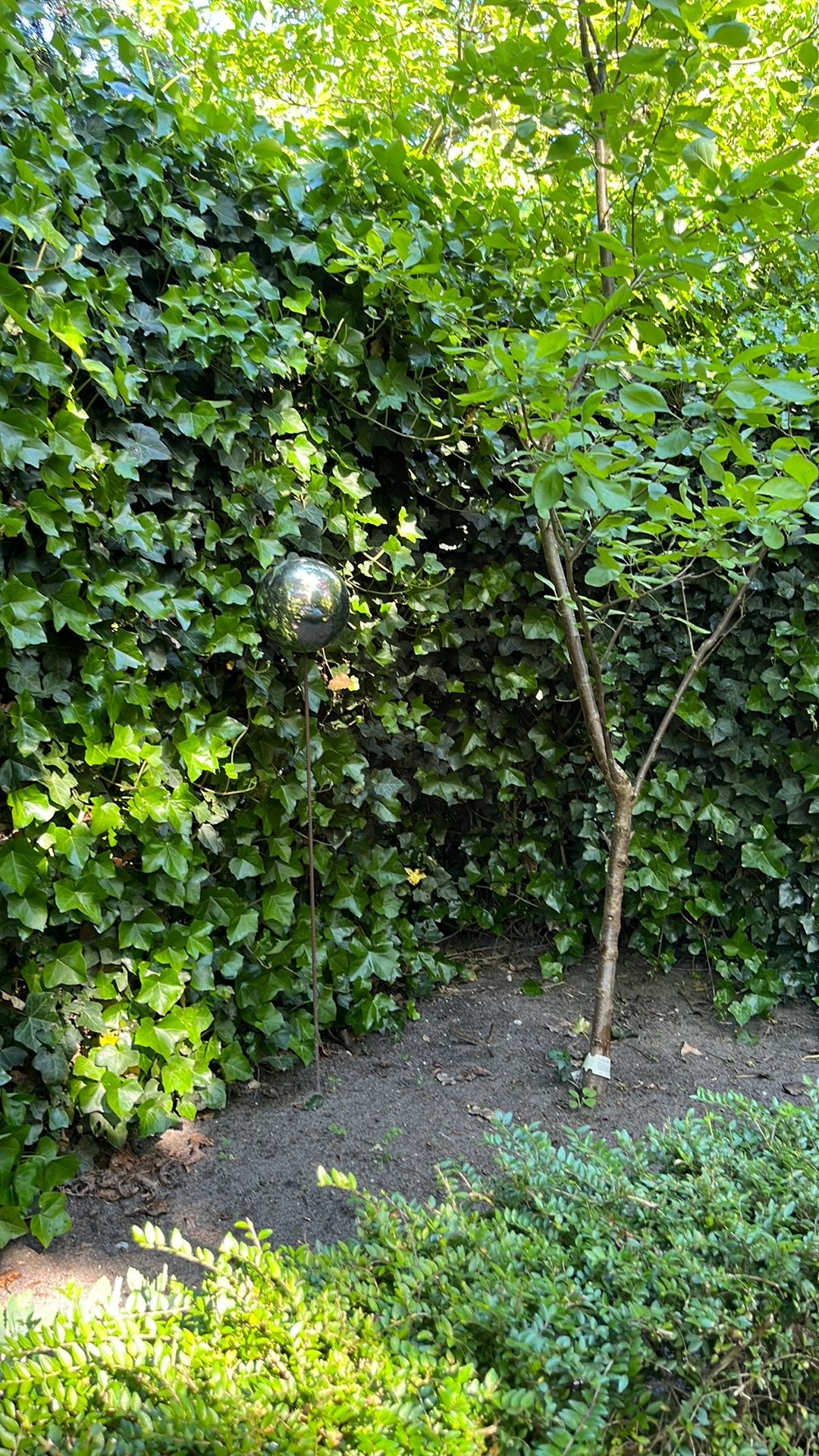 Chrome bal decoratie tuin, Ophalen, Overige soorten
