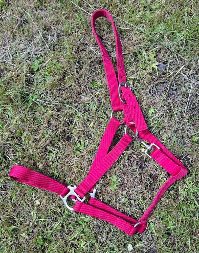 Halster full, Dieren en Toebehoren, Paarden en Pony's | Hoofdstellen en Tuigage, Ophalen, Zo goed als nieuw, Overige soorten