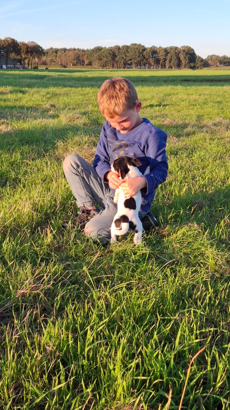 Super lieve en mooie boerenfox pup, Dieren en Toebehoren, Overige rassen, 8 tot 15 weken, CDV (hondenziekte), Meerdere