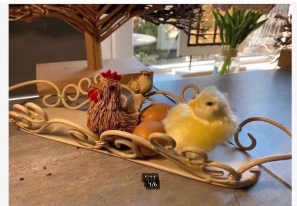 Metalen mand langwerpig, zonder decoraties te koop, Overige materialen, Schaal, Ophalen of Verzenden, Zo goed als nieuw