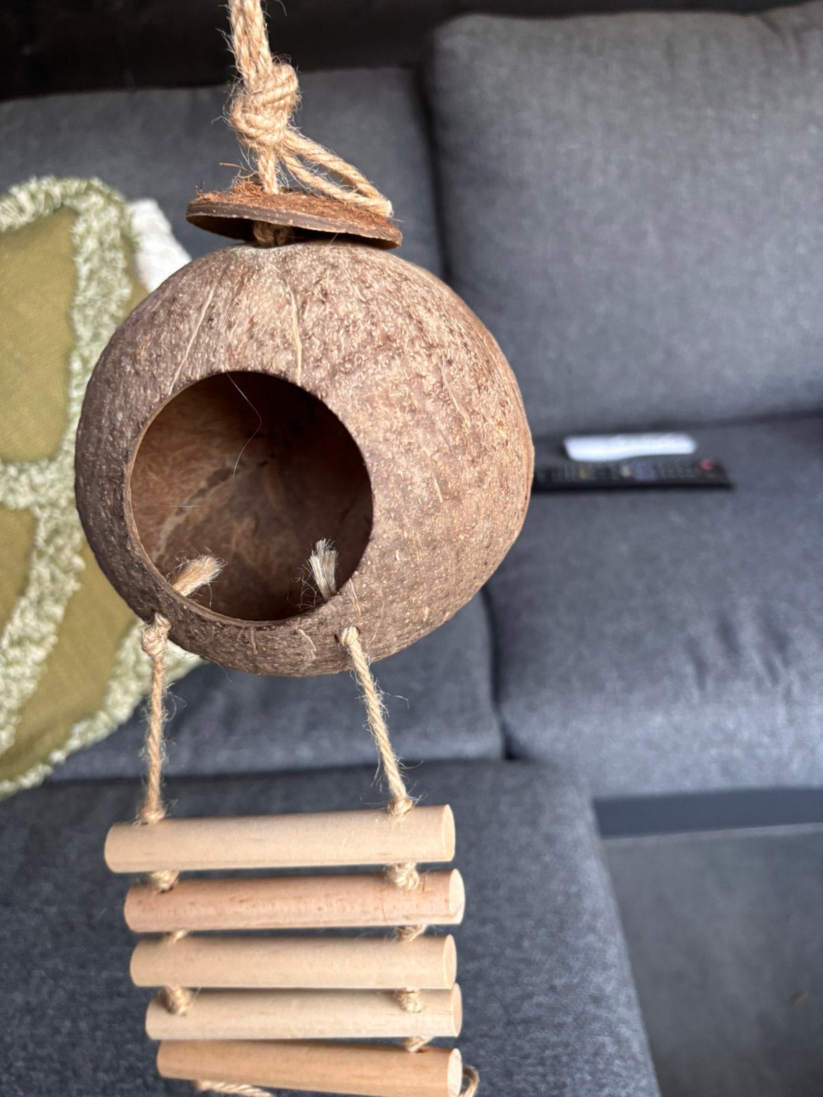 Vogel broedhuisje kokosnoot, Ophalen of Verzenden, Nieuw