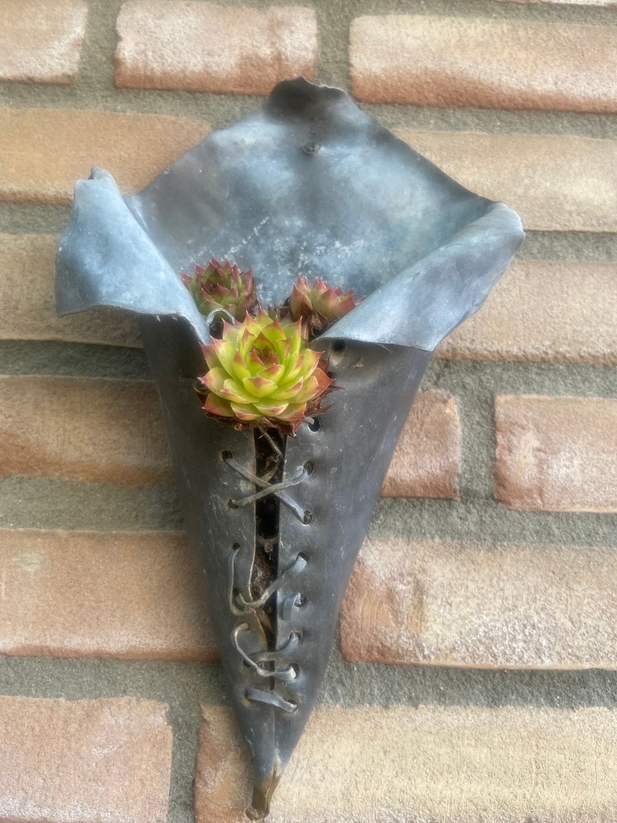 Planthanger met plantje., Tuin en Terras, Ophalen of Verzenden, Gebruikt