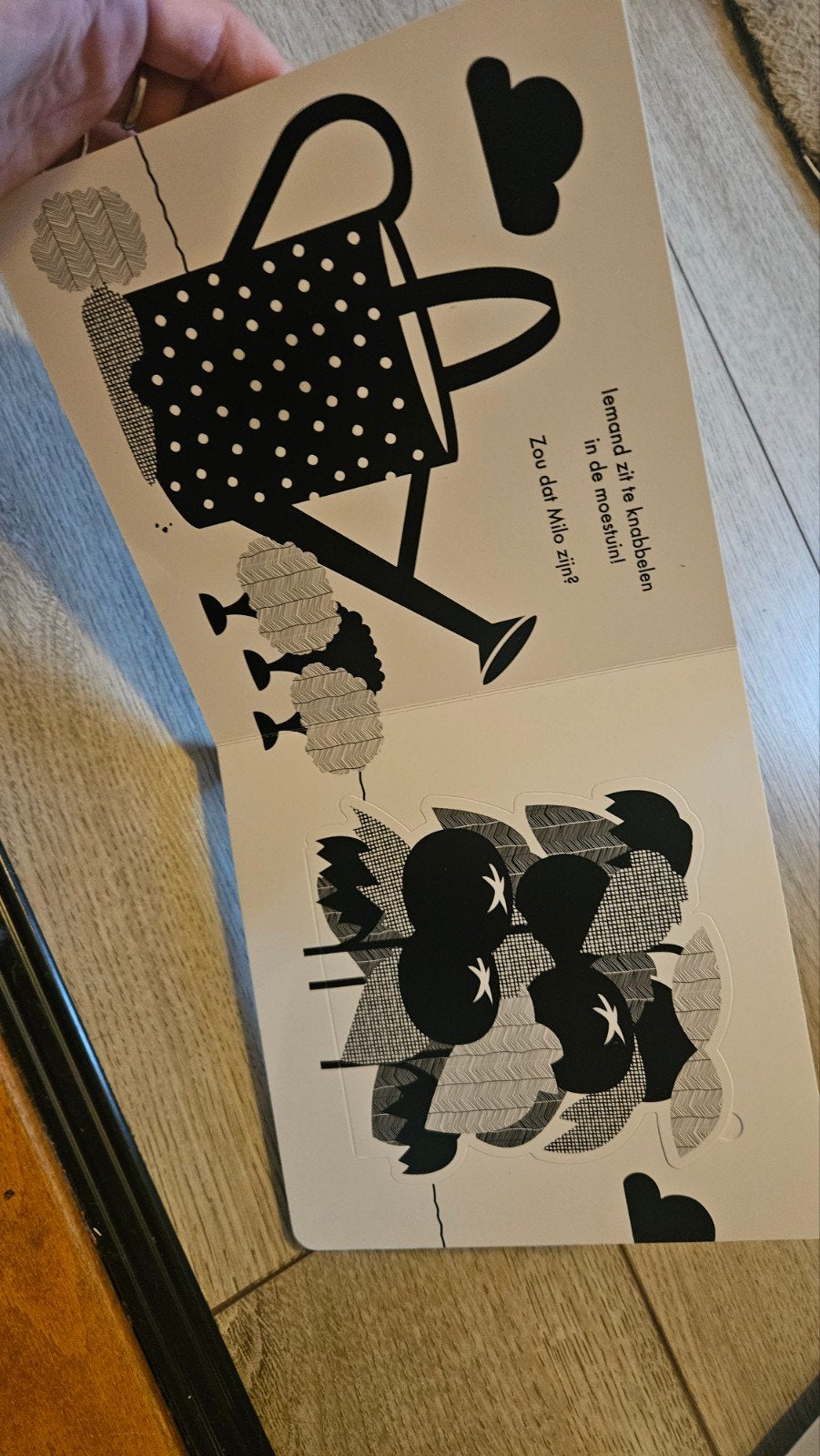 Kiekeboe Milo! Een flappesboek - Frie Willemsyn, Boeken, Frie Willemsyn, Ophalen of Verzenden, Uitklap-, Voel- of Ontdekboek, 0 tot 6 maanden