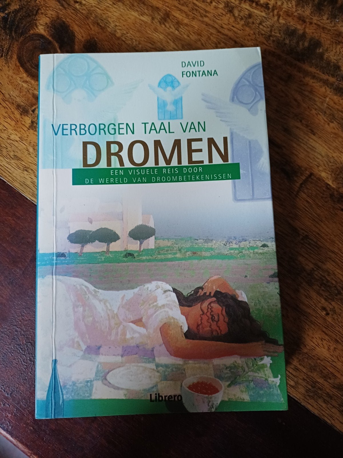 Verborgen Taal van Dromen - David Fontana, Achtergrond en Informatie, Spiritualiteit algemeen, David Fontana, Ophalen of Verzenden