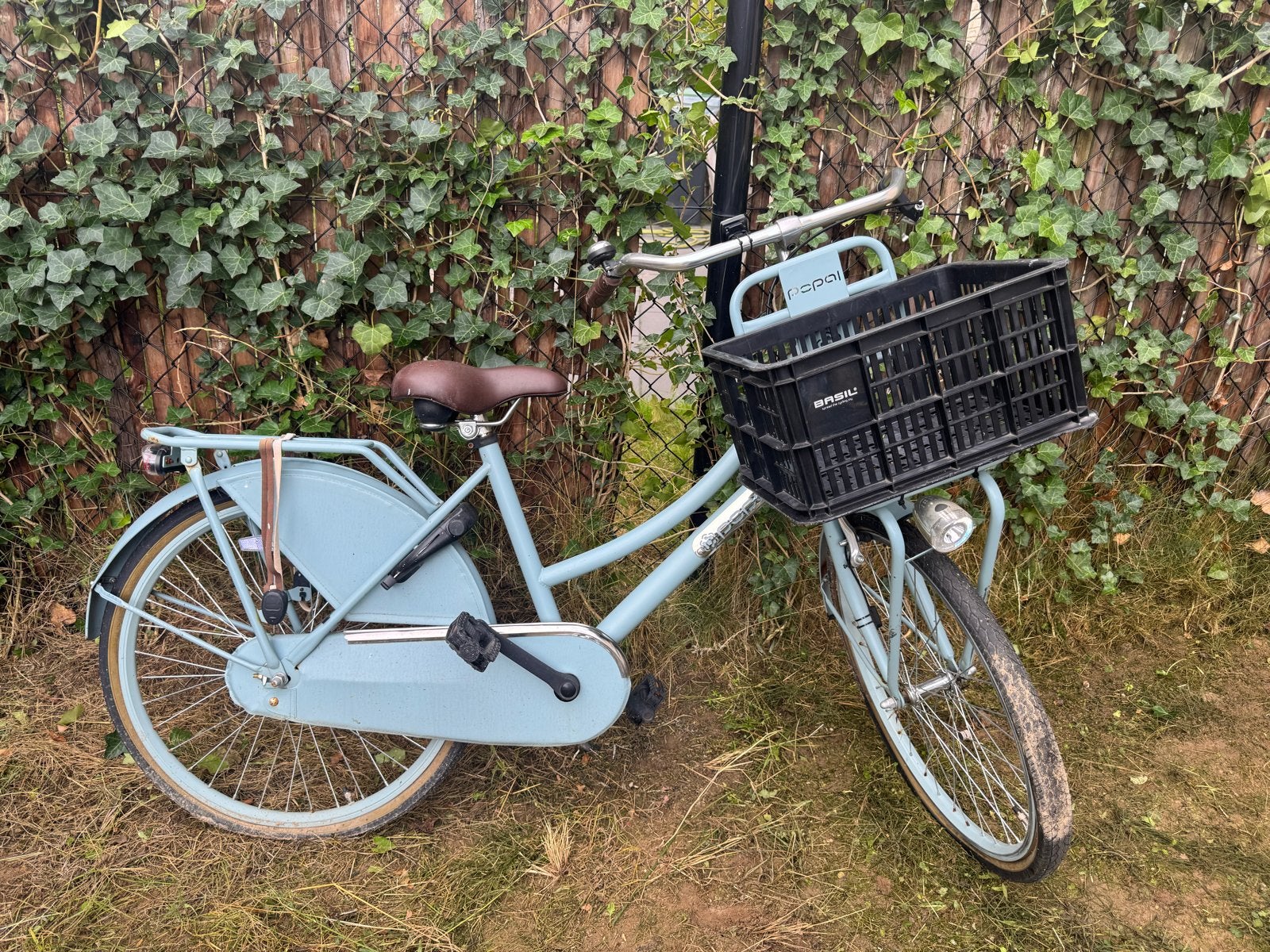 Popal meisjesfiets 22-24 inch met bagagedrager, Fietsen en Brommers, Ophalen, Gebruikt, Terugtraprem, 22 inch