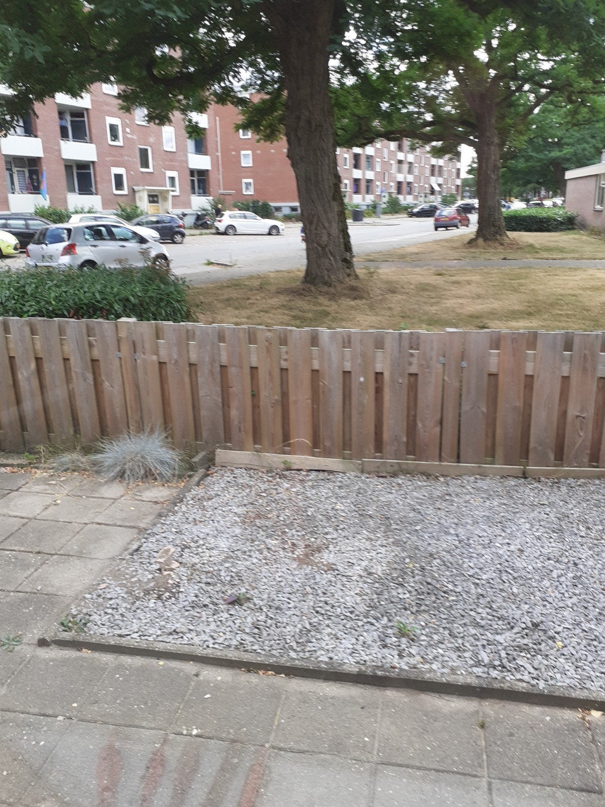 schuting 1jaar ouwd, Ophalen of Verzenden, Hout, Minder dan 3 meter, 1 tot 2 meter