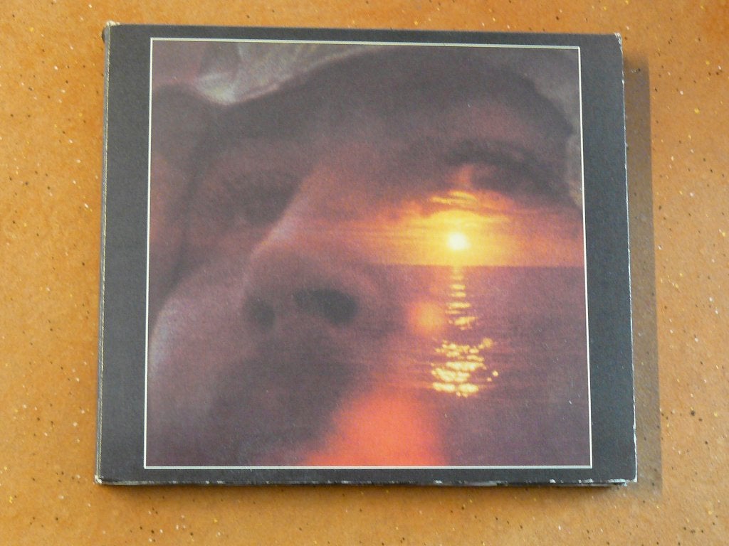 CD + DVD David Crosby - If i could only remember my name USA, Verzenden, Gebruikt