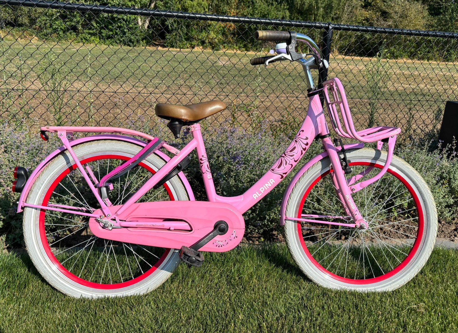 Mooie Alpina Clubb meisjesfiets - 22 inch, Fietsen en Brommers, Fietsen | Meisjes, Ophalen, Zo goed als nieuw, 22 inch, Handrem