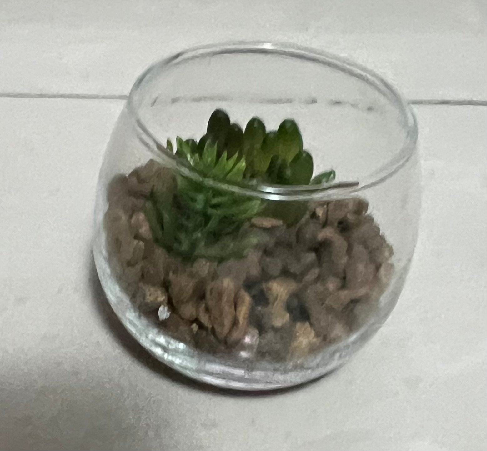 Kunstplantje in glazen potje - Succulenten, Ophalen of Verzenden, Zo goed als nieuw