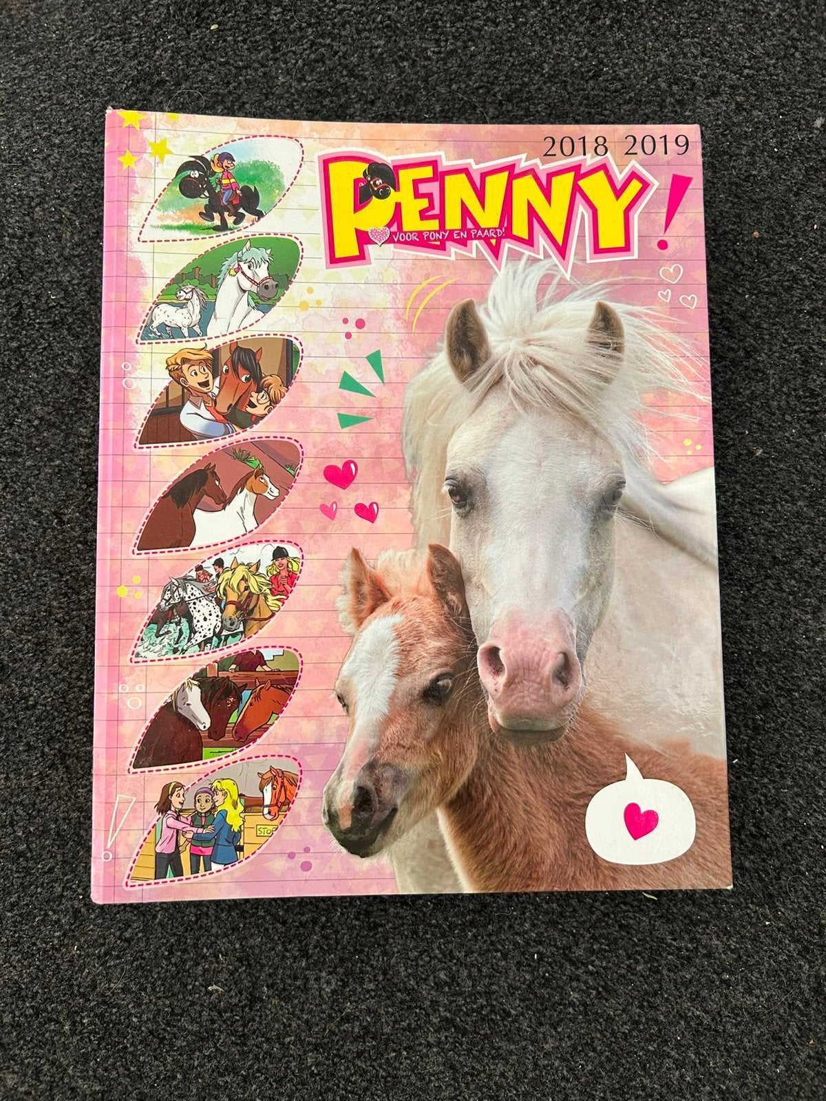 Penny, Stella & Bixie paardenbladen (2017-2019), Boeken, Ophalen of Verzenden, Gelezen, Overige typen
