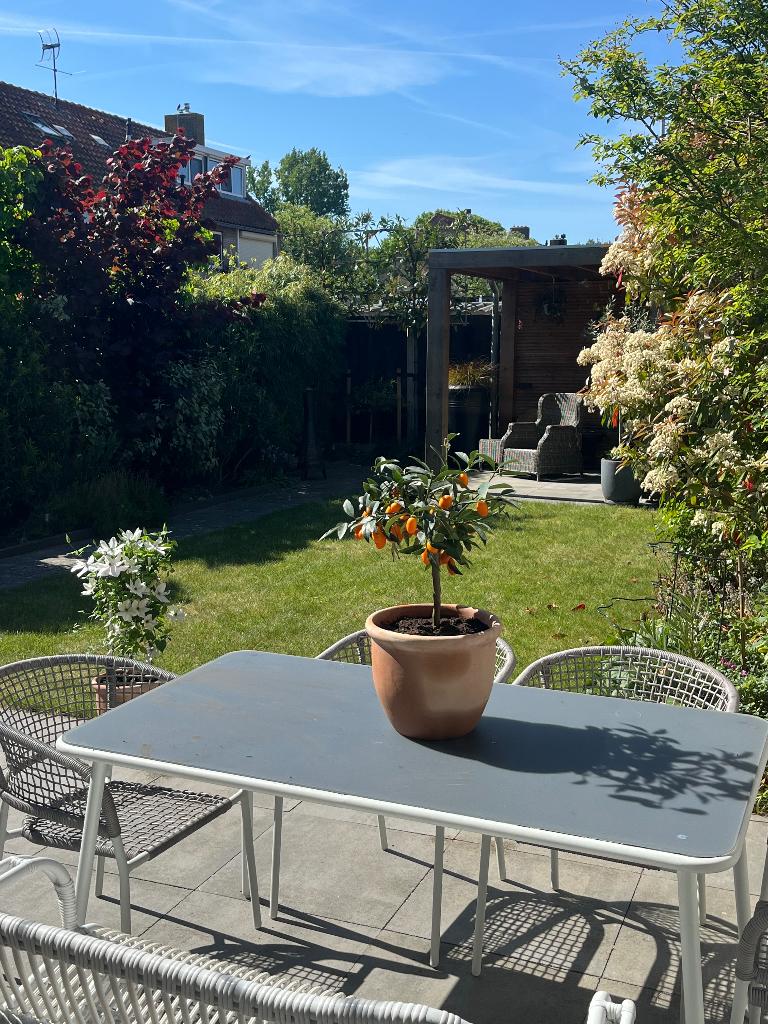 Mooie tuintafel, Tuin en Terras, Tuintafels, Ophalen, Gebruikt, Rechthoekig, Aluminium