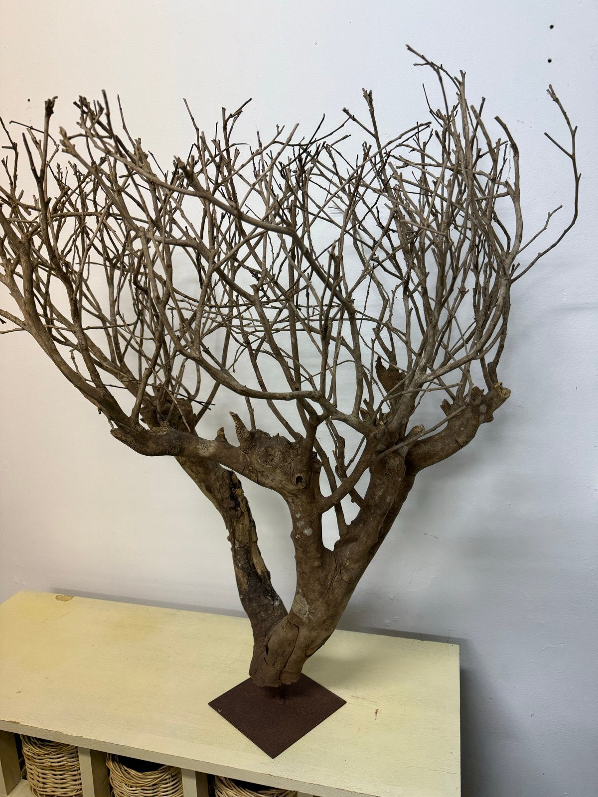 Decoratieve takkenboom op metalen voet, Ophalen, Hout, Bruin, Landelijk