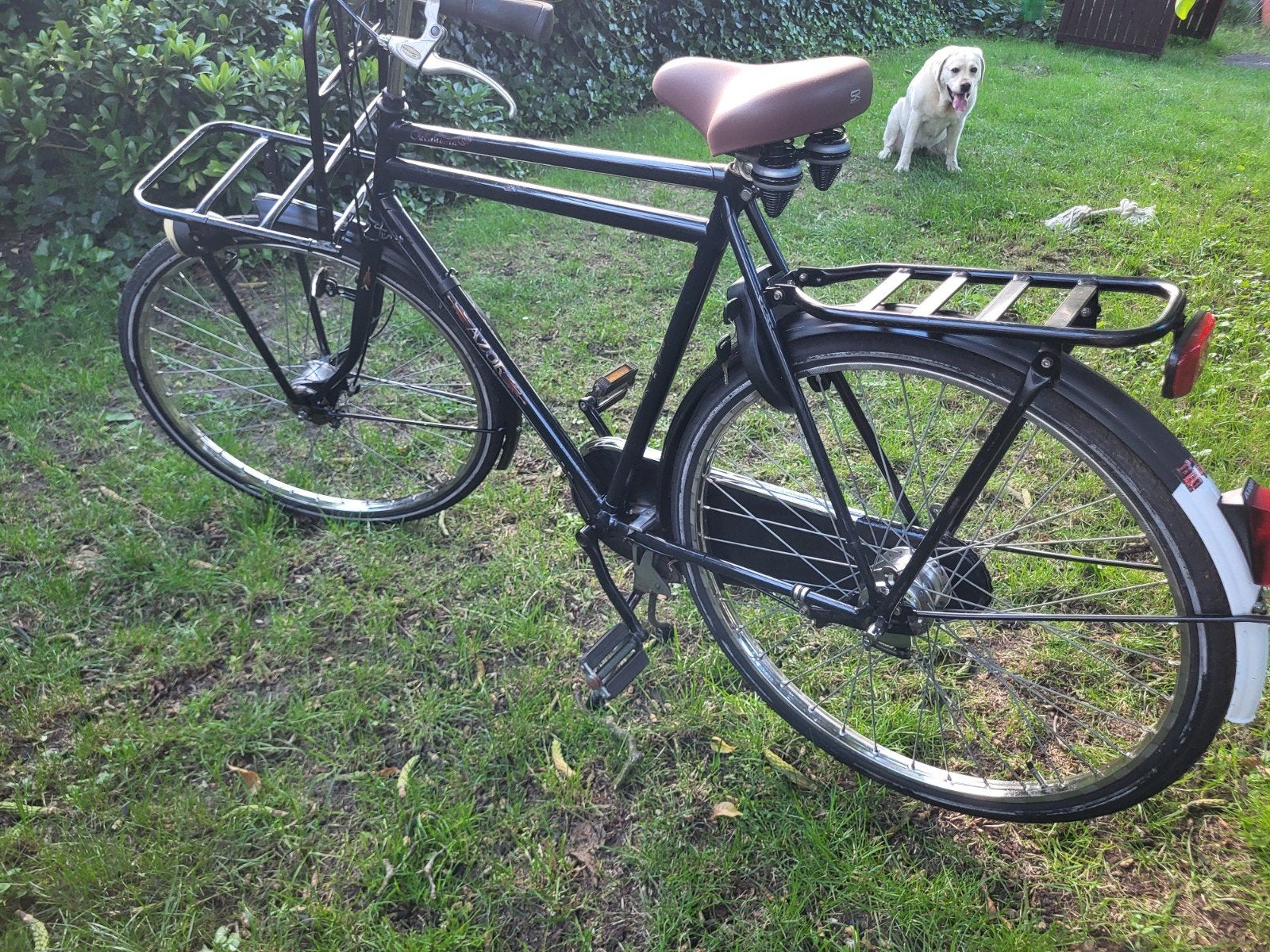 Azor Oklahoma Transportfiets 57cm, Gebruikt, Versnellingen, Trommelrem, Ophalen