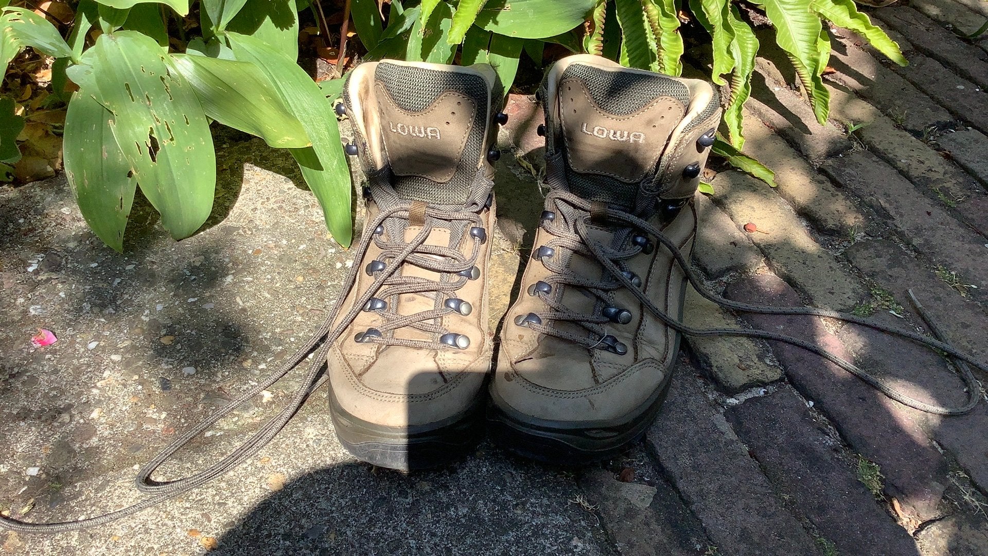 Lowa dames wandelschoenen maat 38, Ophalen, Schoenen