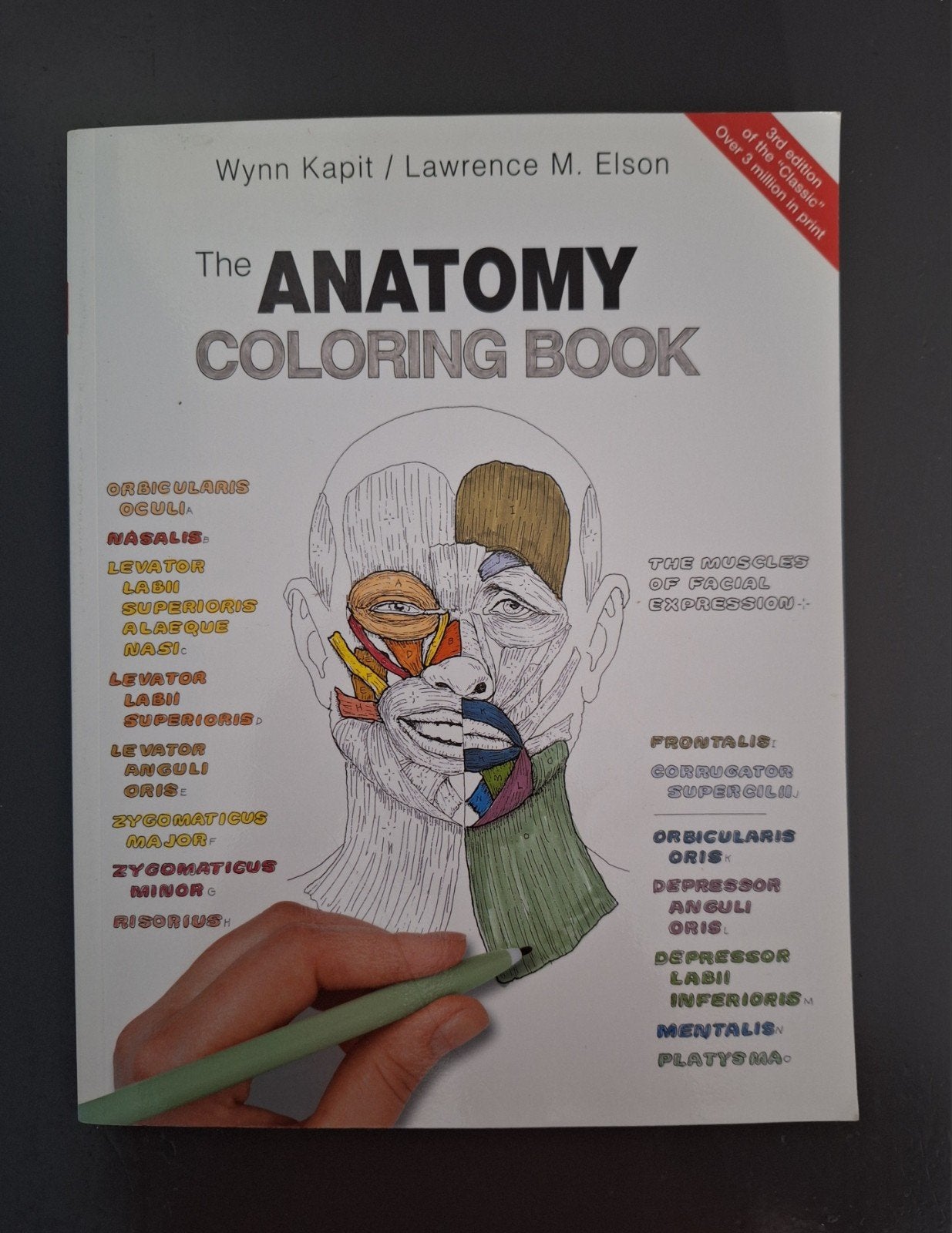 The anatomy coloring book (Wynn Kapit/Lawrence M. Elson), Boeken, Ophalen of Verzenden, Beta