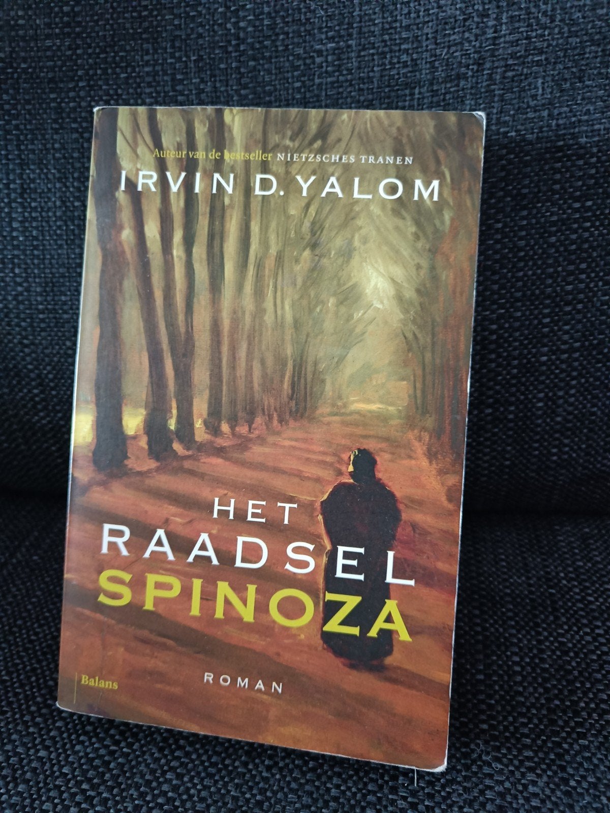 Het Raadsel Spinoza - Irvin D. Yalom (Roman), Boeken, Romans, Gelezen, Nederland, Ophalen of Verzenden
