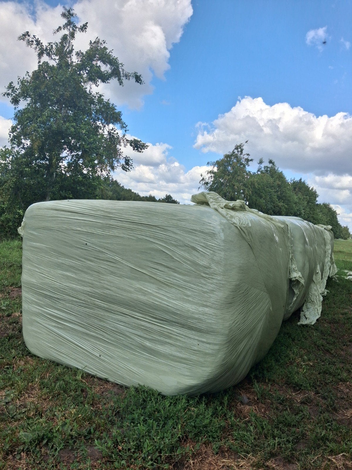 midibalen hooi hooibalen paardenhooi 120x80x90, Dieren en Toebehoren, Dierenvoeding, Ophalen, Vee