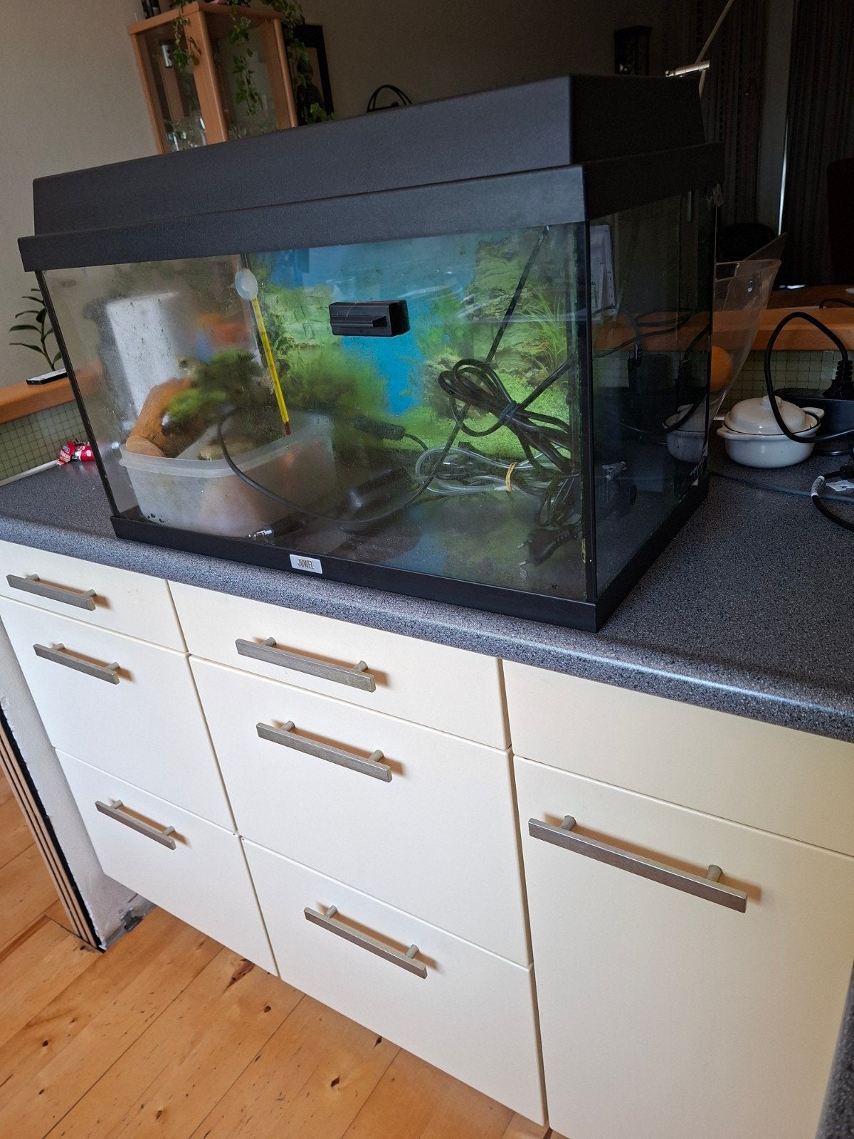 aquarium, jewel., Ophalen, Gebruikt, Leeg aquarium