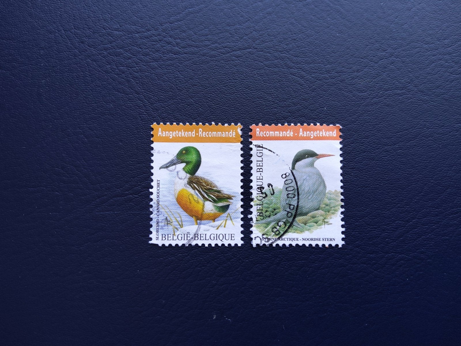 België: Aangetekend postzegels met vogels, Met stempel, Frankeerzegel, Ophalen of Verzenden, Gestempeld