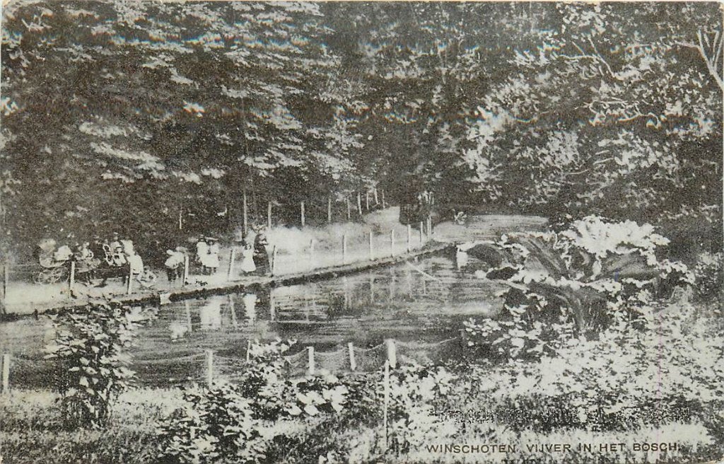 701-431-043 Winschoten Vijver in het Bosch, Verzamelen, Ophalen of Verzenden, Voor 1920, Groningen